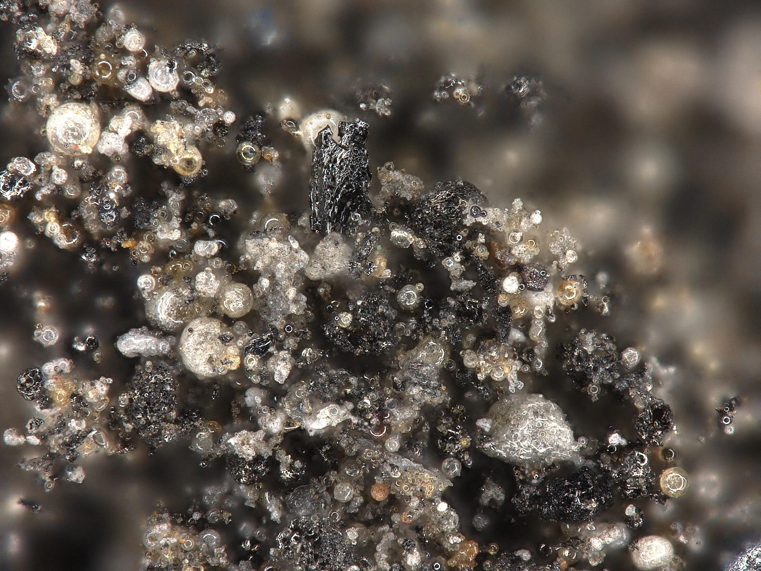 Microscopic photo of coal ash
