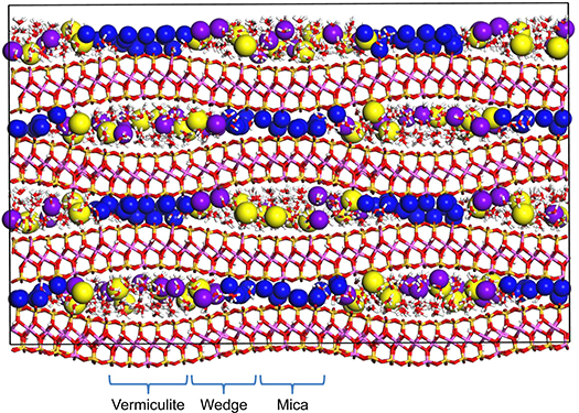 Equilibrated molecular structure of interlayer Cs+ (yellow), Rb+ (purple), and K+ (blue) in mica-vermiculite hybrid structure (HIV-mica wedge model) as derived from molecular dynamics. Frayed edges are represented by wedge zone in periodic structure. Wedge, vermiculite, and mica zones are indicated for the lower left section of the simulation cell.