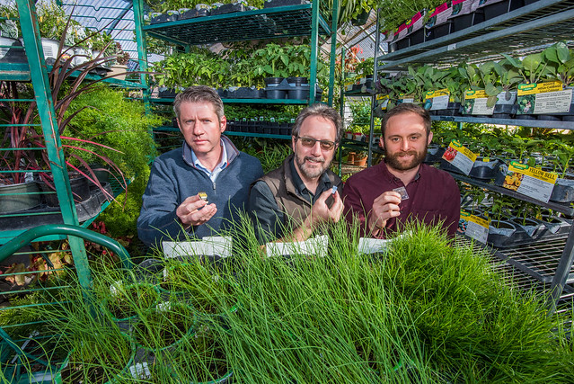 ROOTS, a program that hopes to develop better crops — super plants that are drought-resistant, use less fertilizer and remove more carbon dioxide from the atmosphere—is one of many projects showcased at the 2019 Summit. Photo by Randy Montoya