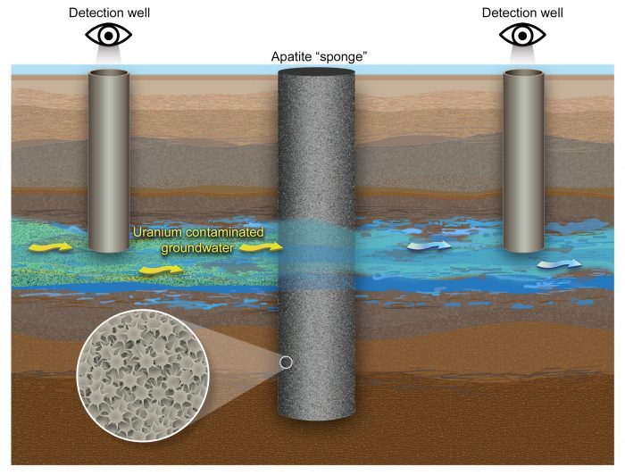 Graphic of underground stream with uranium being absorbed by apatite with detection wells upstream and downstream.