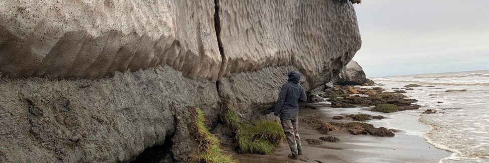 Diana Bull examines a coastal permafrost bluff along the North Slope of Alaska. (Photo by Jennifer Frederick)