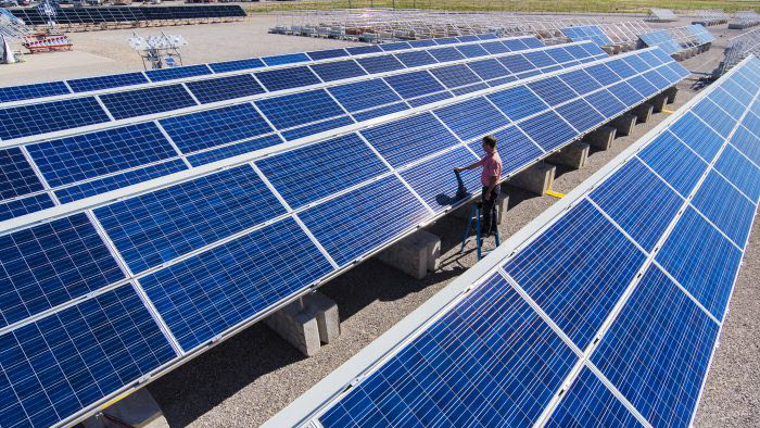 A researcher stands among a field of photovoltaic solar panels