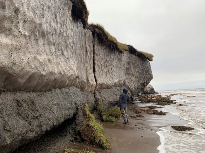 A person looking at a wall of permafrost next to the ocean