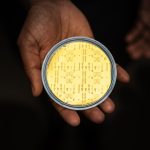 Ashok Kodigala holds a gold plated wafer filled with thousands of minute lasers made at Sandia National Laboratories MESA facility.