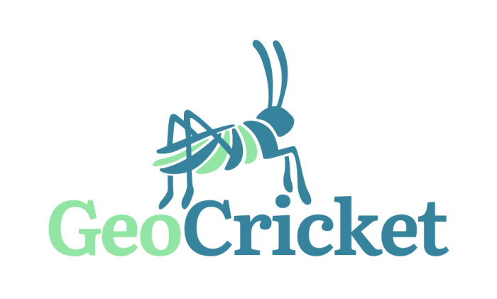 image of cricket 